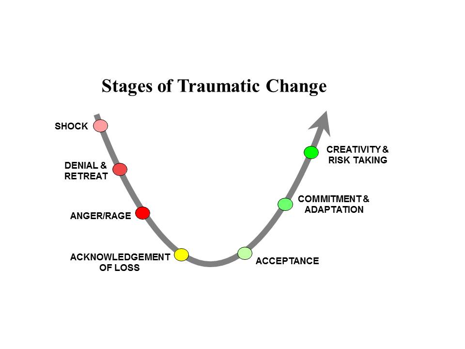 Image result for stages of trauma